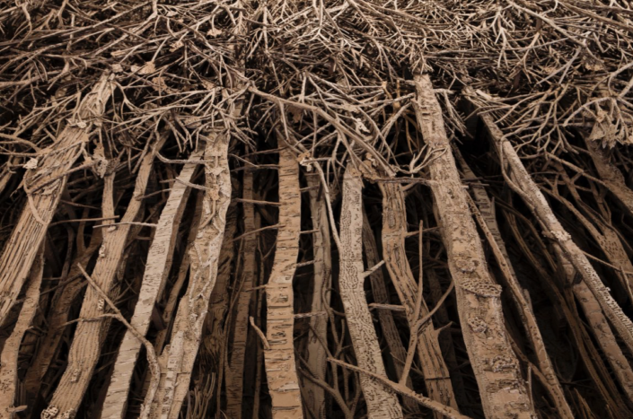 Eva Jospin | Hayward Gallery Among the Trees