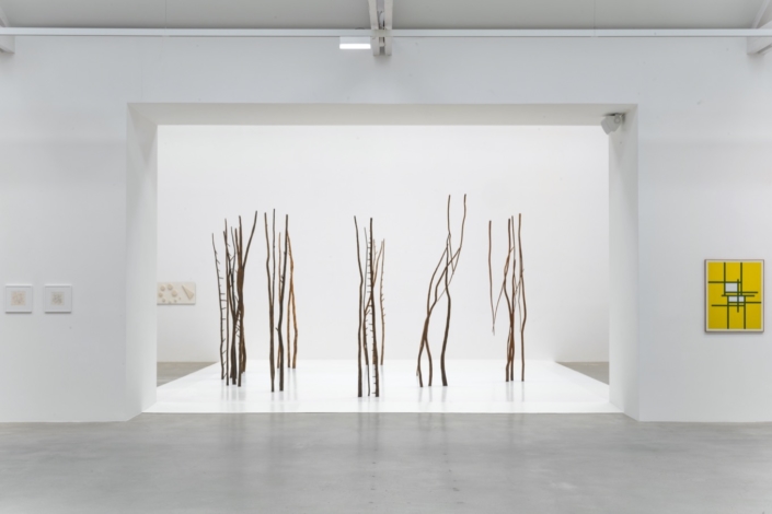 « Dimensions of Reality : Female Minimal »