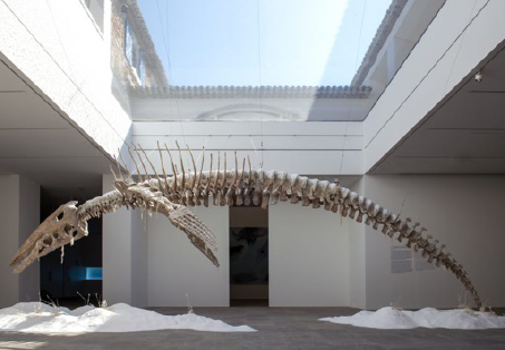 Bianca Bondi à La Fondation Carmignac de Porquerolles avec une plongée dans une mer imaginaire