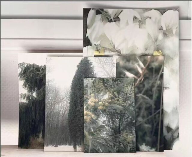 Après un Master 2 de Paris Dauphine, Anne Commet se tourne vers les arts
plastiques. En 2012, elle reçoit le Prix Marin de la critique du salon des
Réalités Nouvelles puis en 2017 le premier prix peinture, Les Passerelles.
En 2019 Vinci Immobilier lui fait une commande pour le programme «1
immeuble, 1 oeuvre». Elle vit et travaille à Paris (Poush).
Elle est à voir jusqu’au 23 septembre, dans l’exposition UTOPIA NOW, See
Galerie, 238 rue Saint-Martin, Paris.

Représenter le paysage est une façon de retranscrire à la fois
l’impermanence, la fragilité et la pérennité de la nature. C’est cette
dualité que raconte également Lars Van Trier dans son film ‘Melancholia’. Il
nous montre le spectacle merveilleux et fascinant d’une végétation
omniprésente alors que l’approche d’une gigantesque planète présage la
destruction de la Terre.
Le mode opératoire est toujours le même : faire l’expérience du paysage en
arpentant des lieux familiers à des moments précis, les observer de façon
répétitive et se souvenir d’eux. Ces paysages fixes, transposés en portrait,
construisent une cartographie de territoires intimes. C’est aussi un moyen
de raconter leur histoire : un chapitre retrace celle de la Reine Jeanne,
crique sauvage totalement dévastée par le feu où la végétation réapparaît
petit à petit des cendres et des arbres calcinés. Il y est question de
destruction et de renaissance - une manière poétique de témoigner de l’état
de la nature et de nous interpeler sur le rapport que nous entretenons avec
elle.

Renoncer à la figuration pour la couleur est un élément constitutif de l’
identité créative d’Anne Commet. L’abstraction permet d’opérer une
déconstruction de la réalité pour ne garder qu’un ensemble coloré qui fait
appel à la sensation.
« je bois une gorgée d’air, je mange une cuillère de lumière. […] »

Les Cyprès IV

Couchant, le Cap

Poudroiement

Desire Lines

Vue de l’exposition U

@annecommet #abstraction #seegalerie #paysage #contemporaryart